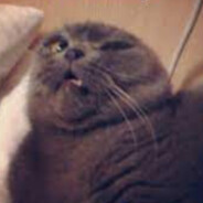 имя профиля