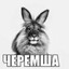 черемша