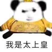 我是丁真