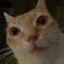 Snarz