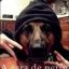 Erodio DMT