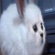 Прудников путана