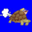 SpeedyTortoise