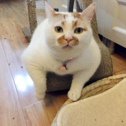 社会温柔你王哥