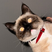 sɯoʞǝ - steam id 76561198377651325