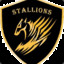 TeamStallions.