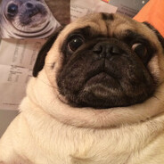 rados1k - steam id 76561198272872492