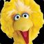 BigBird