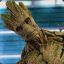 Groot