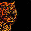 Tiger➐➐➐