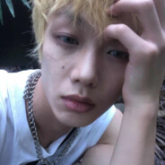 寻找向日葵的武士