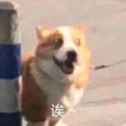 老师子涵又在打电动了