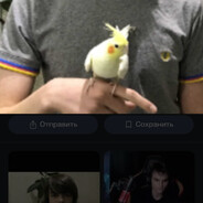 пушистая машёнка