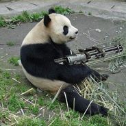 hackingpanda