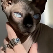 纯情男孩不会骗人