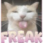 AnusKing1