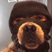 你我山边自相逢