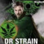 Dr. Strain