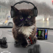 v potoke pohuy - steam id 76561198977318744