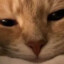 キャンディーアップル