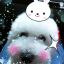 Small pig &gt;.&lt;