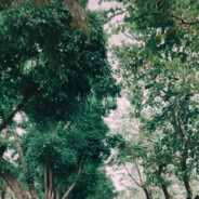 翠锅给我打烂她的碗