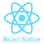 ReactNative/Vue Developer
