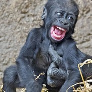 грызу за дырку