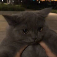 联合国戒烟大使丁真