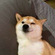 素颜咱家火龙果