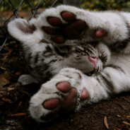 Хороший парень