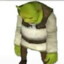 shrekyboo