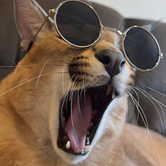 Big⭕⃤ FloppaϠϟ☯ɐ֎