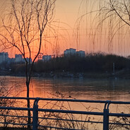 再多的言语也抵不过少