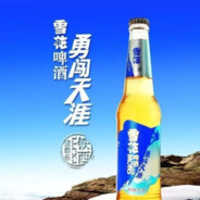 雪花❉勇闯天涯