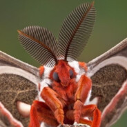 Zส็็็็็็mb