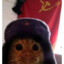 Gato Sovietico