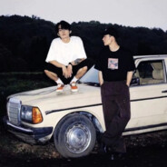 樱花欲落集满身