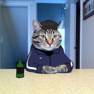 Slav_Cat