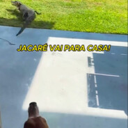 Zé Jacaré