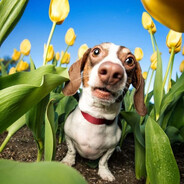 Avatar of печчк