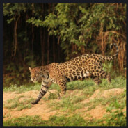 sandralopez - steam id 76561199529127702