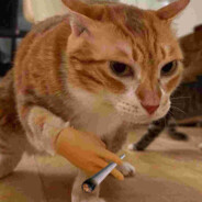 Weed Smoking Cat (It/She)