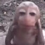 насвай барыга's avatar