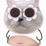 灵感菇梨菇梨奶宝