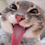 Cakef