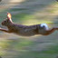 Fastest Rabbit