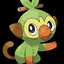 grookey