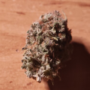 Huck007 hellcase.com