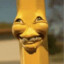 Bic pen